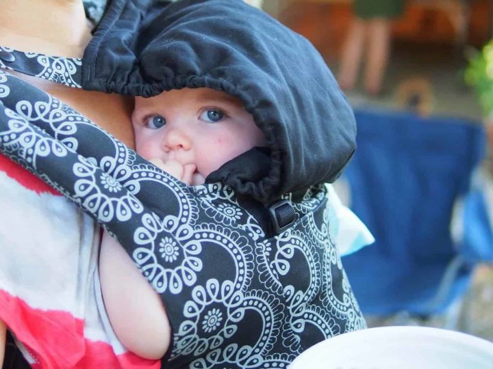 Ergobaby Original Carrier