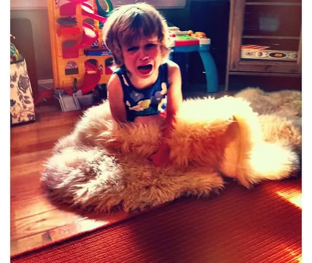 how to survive tantrum