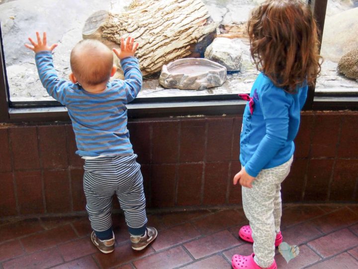 babies close in age