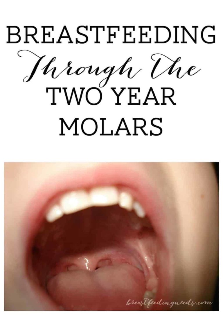 Breastfeeding Through the Two Year Molars Breastfeeding Needs
