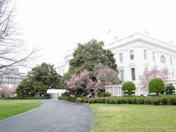Let's Move at the White House