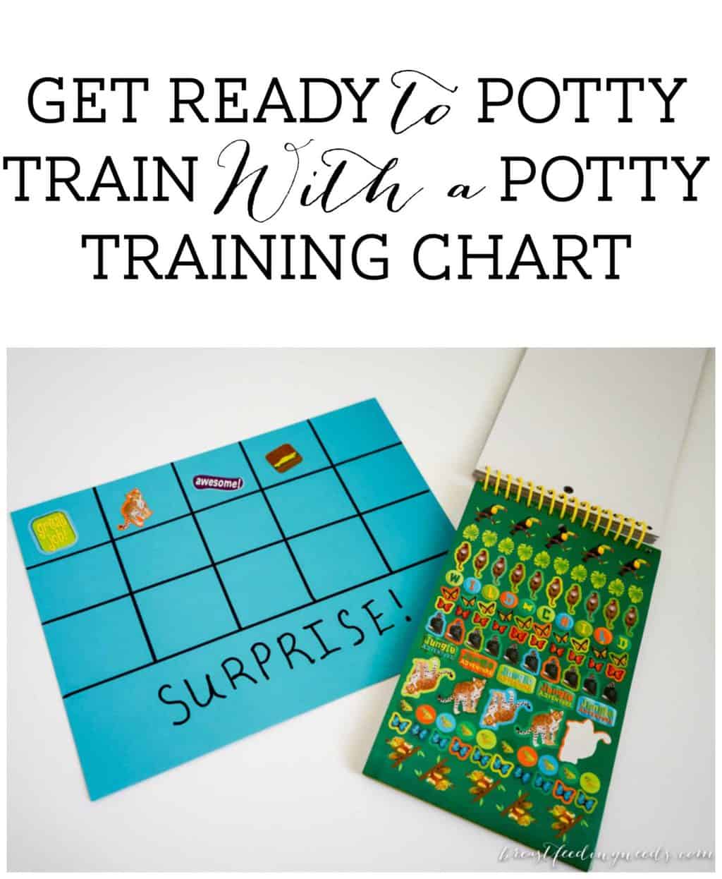 Get Ready to Potty Train With a Potty Training Chart! Breastfeeding Needs