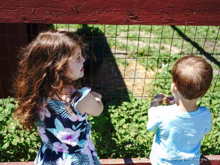 Juggling three children under four