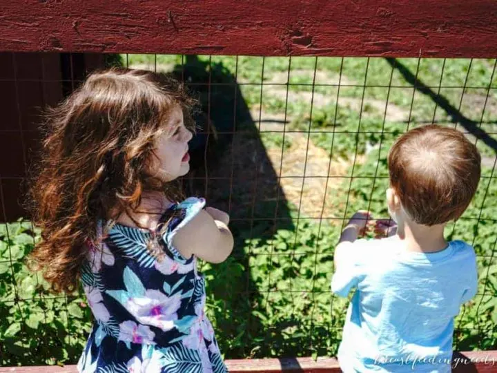 Juggling three children under four