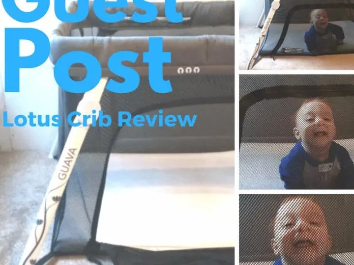 Lotus Travel Crib and Portable Baby Playard