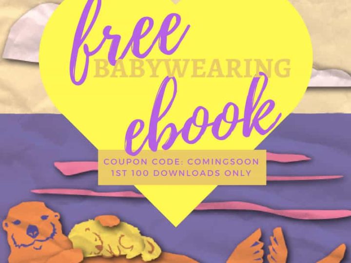 babywearing book