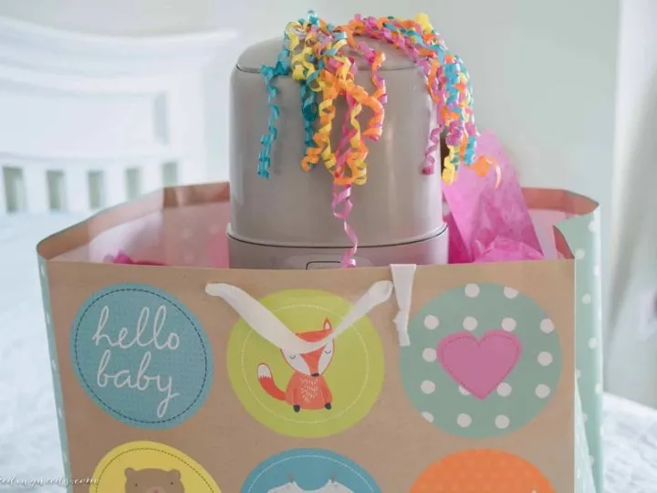 Playtex Diaper Genie