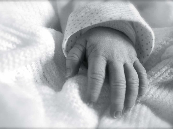 car seat safety guide